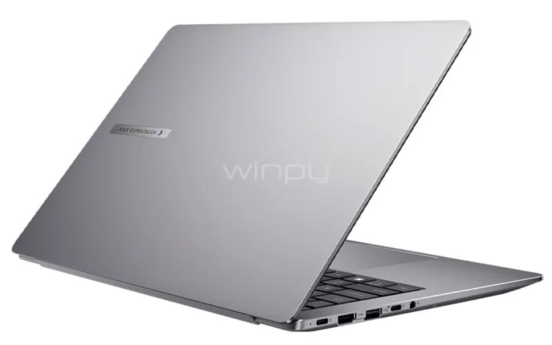 Asus ExpertBook P5